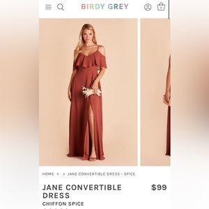 Birdy Grey Chiffon Spice Bridesmaid Dress - XL